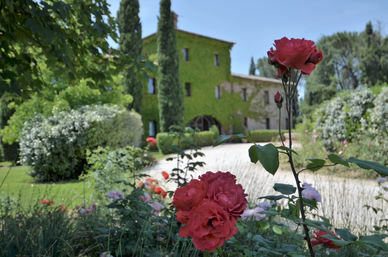 Appartamento CASTIGLIONE DEL LAGO vendita    Real Domus