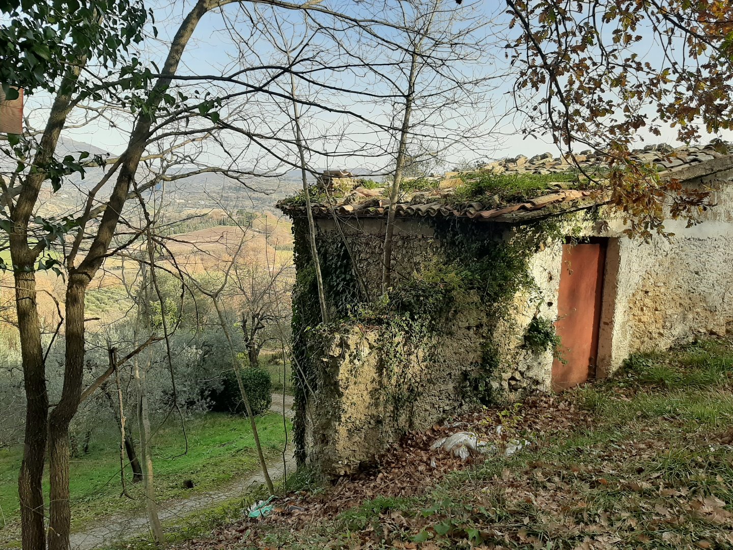 Rustico - Cascina POGGIO NATIVO vendita    NARDI CONSIMM ROMA