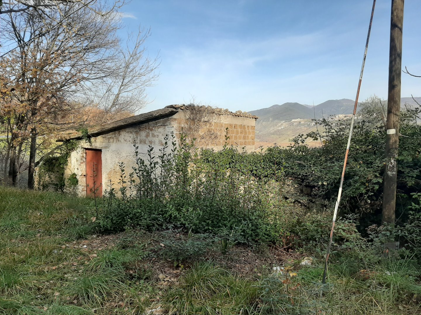 Rustico - Cascina POGGIO NATIVO vendita    NARDI CONSIMM ROMA